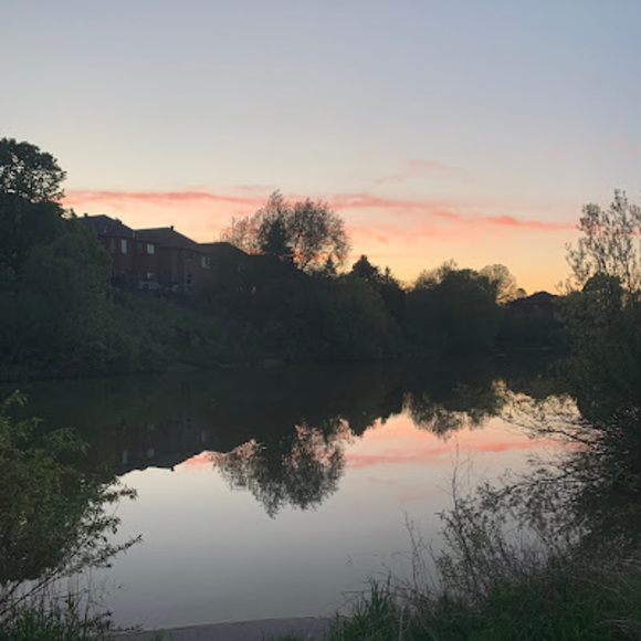 Meet your Posher, Maya - Picture 1 of 1